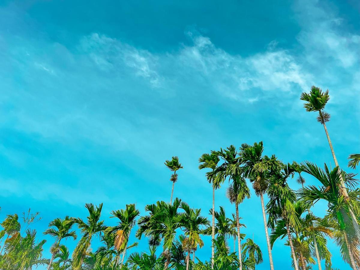 Areca Muine Homestay ファンティエット エクステリア 写真